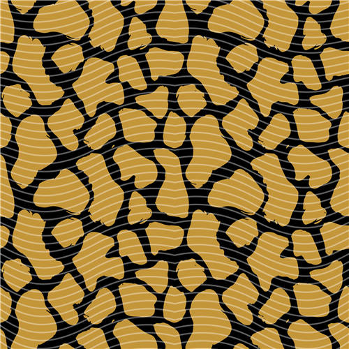 holographic Big- 356